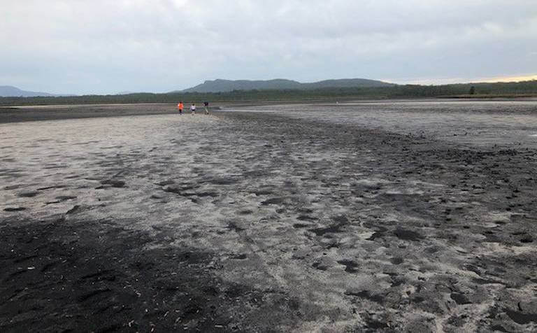 Revive Lake Cathie successful recipient of NSW Government's My Community Project grant