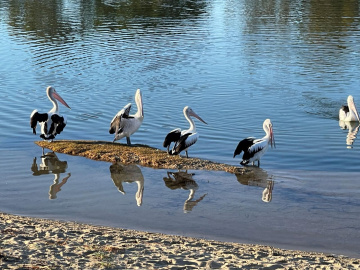 Gallery - Revive Lake Cathie