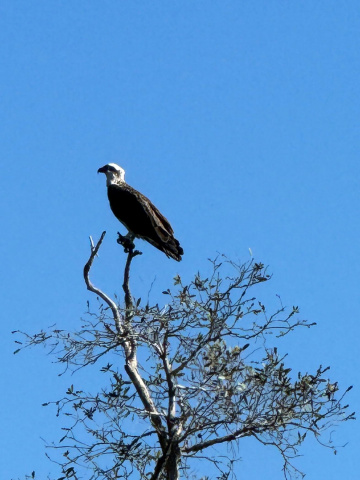 Gallery - Revive Lake Cathie