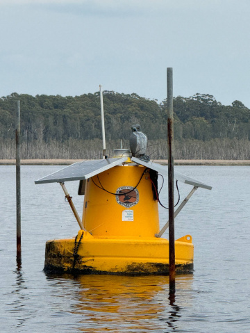 Gallery - Revive Lake Cathie