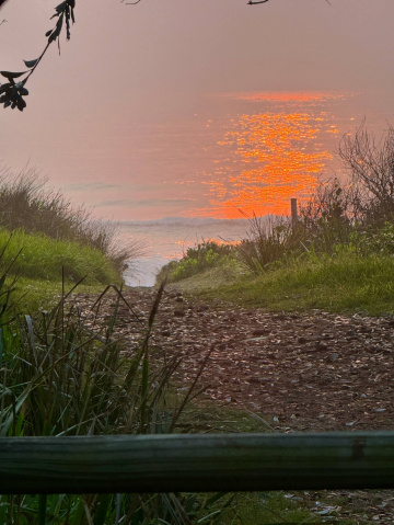 Gallery - Revive Lake Cathie