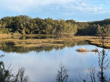 Gallery - Revive Lake Cathie