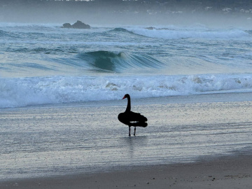 Gallery - Revive Lake Cathie